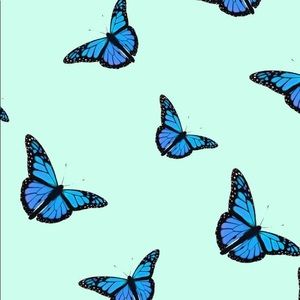 Meet your Posher, Karina